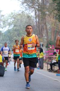 BIB: 16847
                            <button type="button" onclick="openModal(10410251)" class="btn btn-primary btn-sm float-right btn-popup" data-toggle="modal" data-target=".modal-high-quality">
                        <i class="fas fa-shopping-cart"></i> Add to Cart
                    </button>
                                            <button type="button" onclick="isThisMe(10410251, true)" class="btn btn-success btn-sm float-right btn-popup btn-isme hidden" data-toggle="tooltip" data-placement="bottom" title="นี่คือรูปของคุณใช่ไหม คลิกที่นี่เพื่อเอาเข้าอัลบั้ม">
                        <i class="fas fa-plus"></i> Add to album
                    </button>
                    <button type="button" onclick="isThisMe(10410251, false)" class="btn btn-warning btn-sm float-right btn-popup btn-isnotme hidden">
                        <i class="fas fa-ban"></i> Remove from album
                    </button>